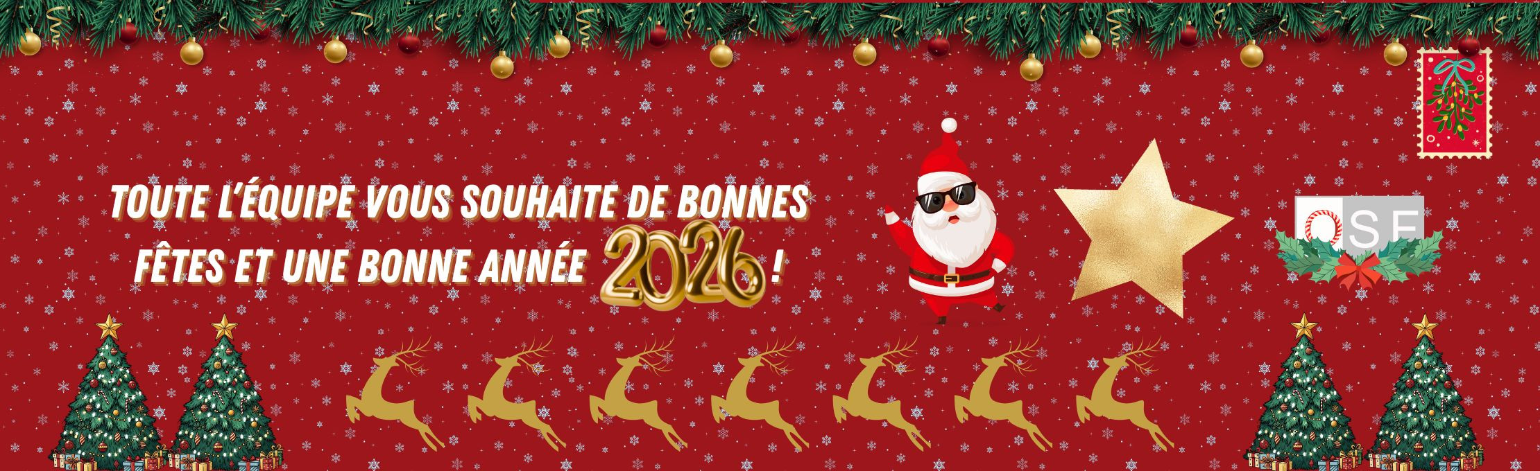 Joyeuses fêtes de fin d'année et meilleurs voeux !